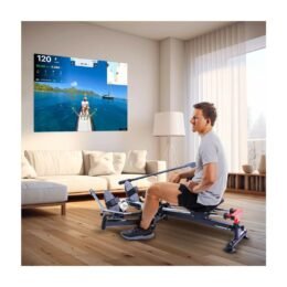 Alternative view of Rameur Accord