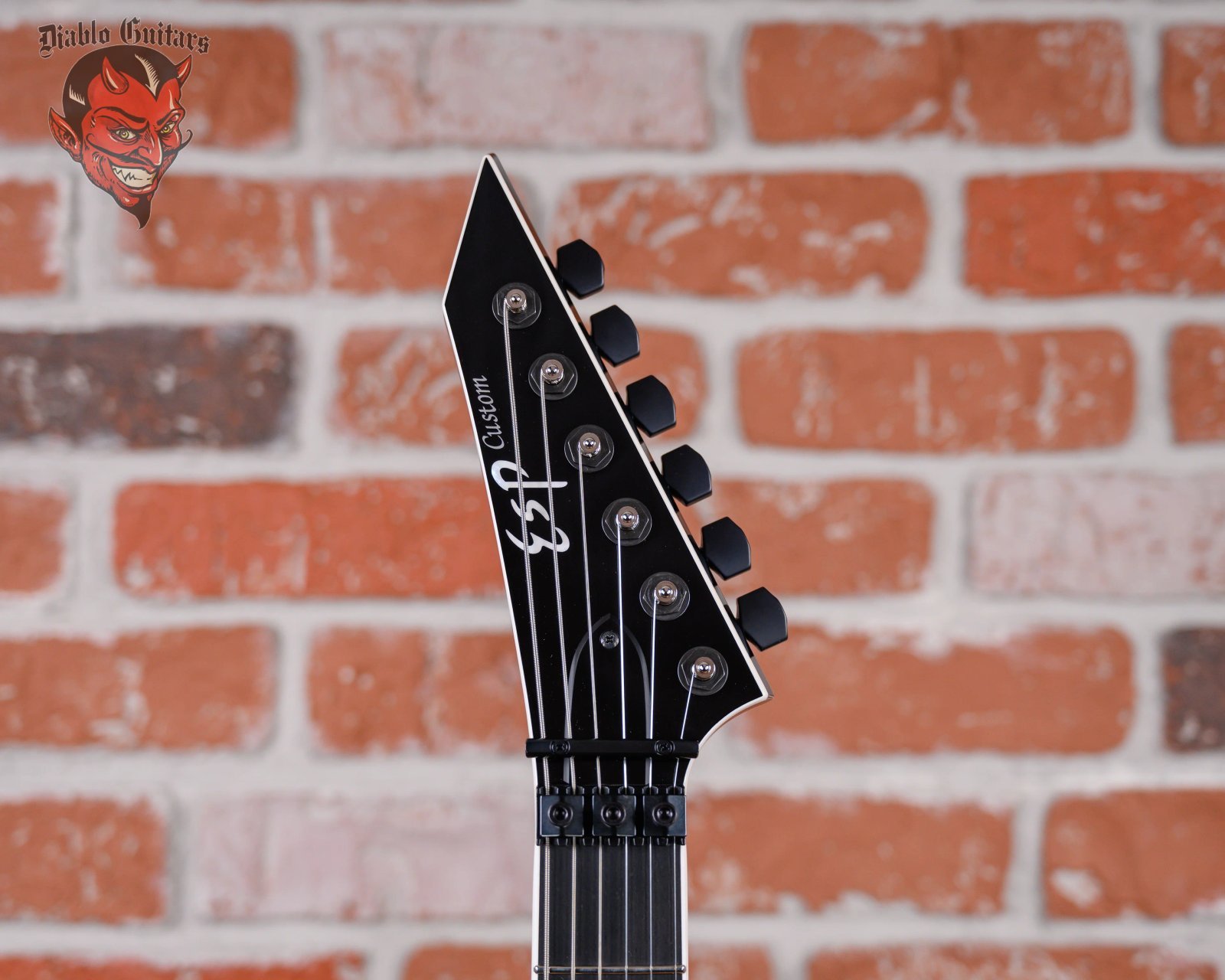 ESP Custom Shop Sammy Duet Signature RS FR Black 2025 w/OHSC - Image 9