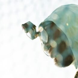 Alternative view of HERO Fishing Bundle