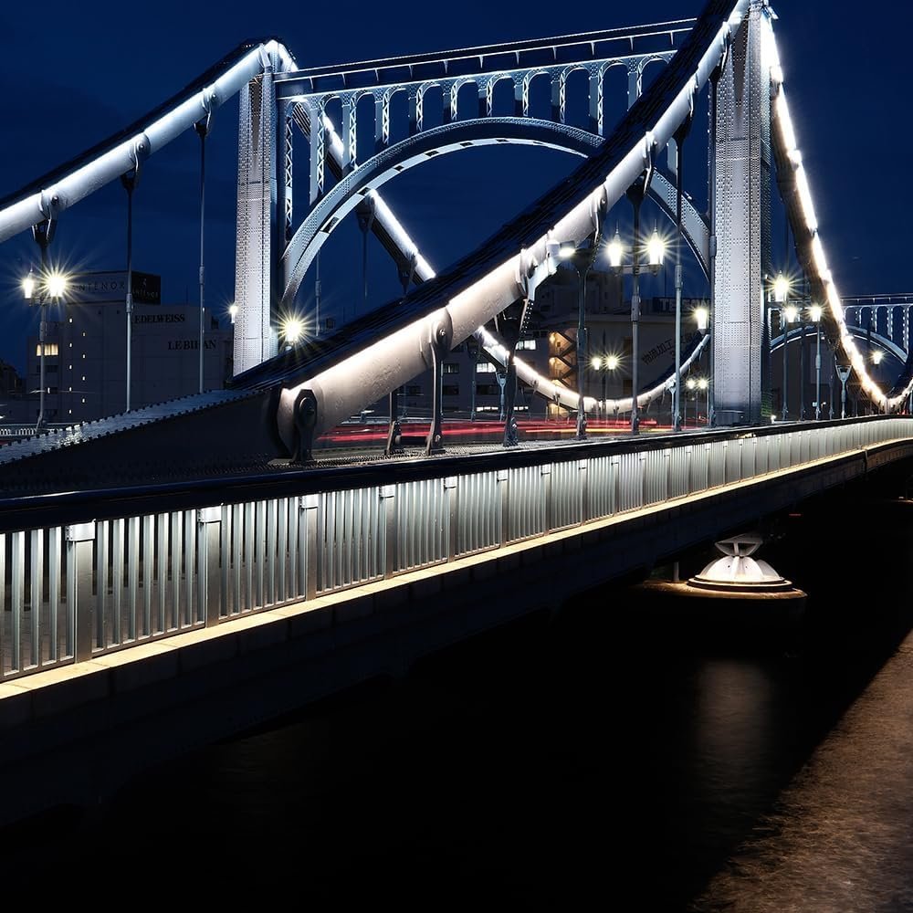 Fujifilm X100VI APS-C Mirrorless Camera 40.2 MP - Image 9