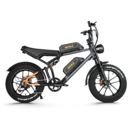 Vakole Q20 750W 20" Fat Bike E-Mountainbike Fully mit 20Ah*2 Dual