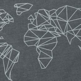 Alternative view of Global Graphic Tee (Gray)